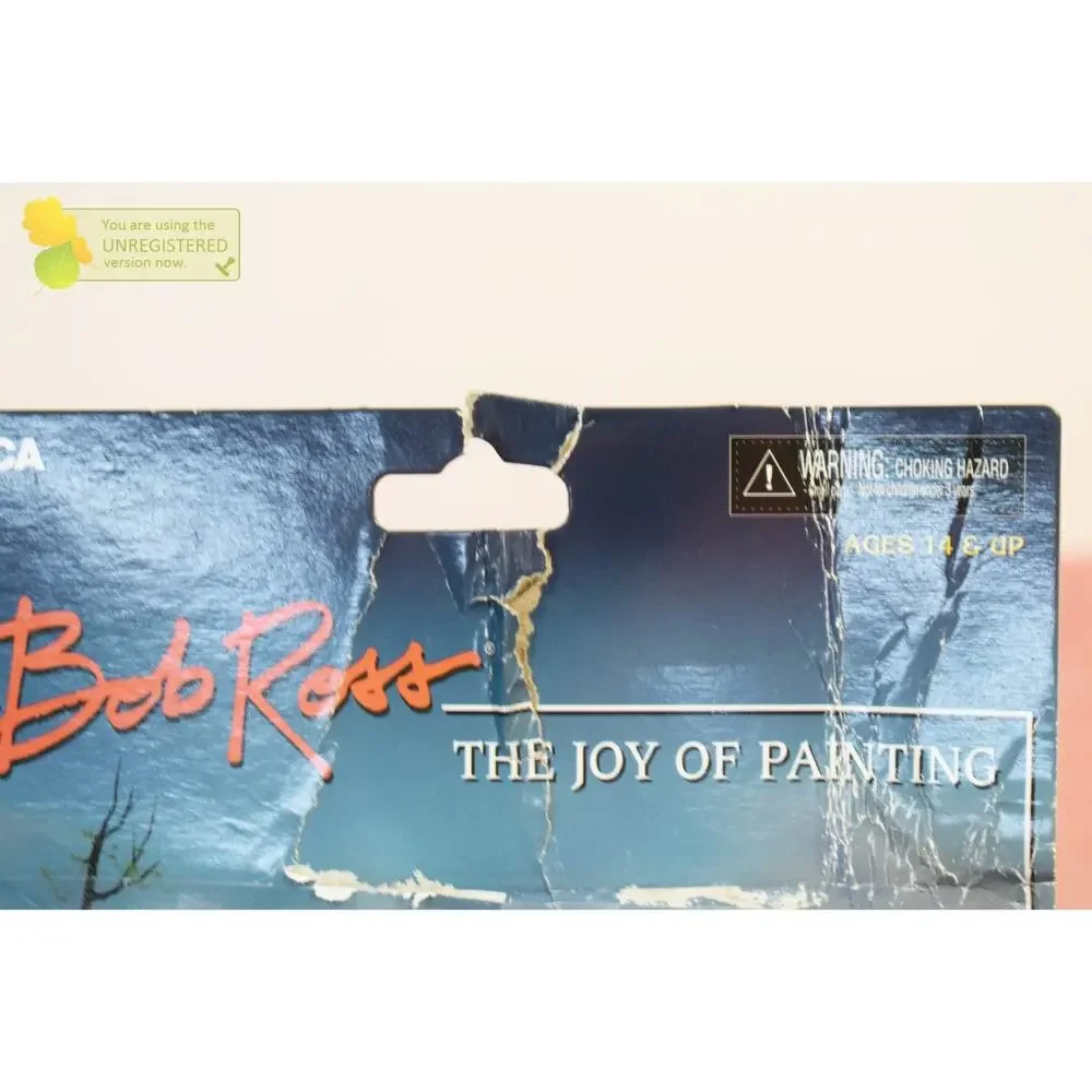 NECA Toony Classics Bob Ross 6